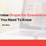 Overview Drupal For Ecommerce - All You Need To Know