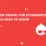 Overview Drupal For Ecommerce - All You Need To Know 1