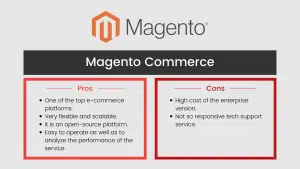 The Best Ecommerce Platforms: Pros & Cons 4