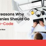 top-5-reasons-why-companies-should-go-for-low-code-development-0