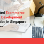 10-trusted-ecommerce-website-development-companies-in-singapore