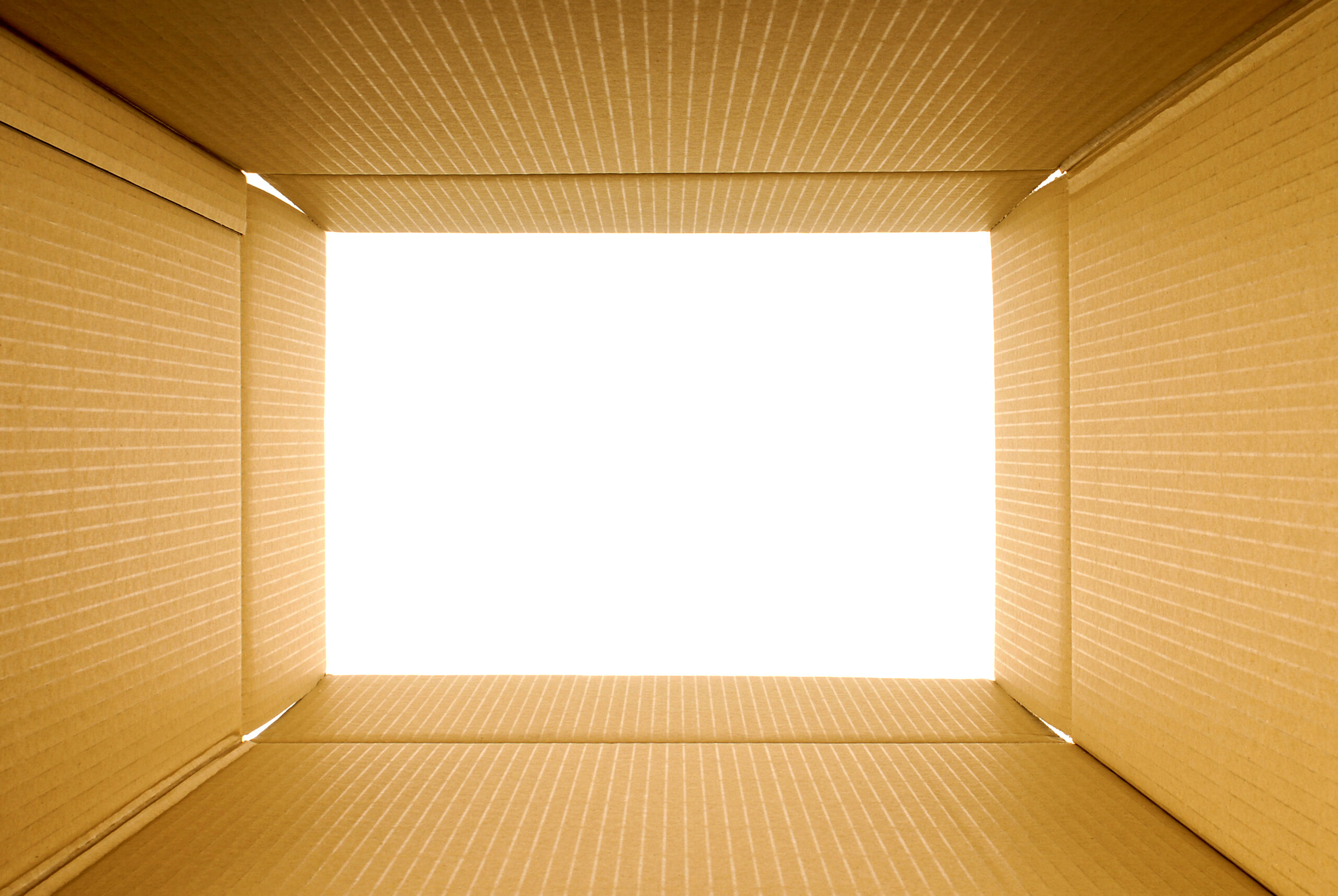 cardboard box inside view scaled