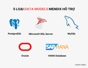 5 loại data model mendix hỗ trợ