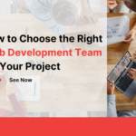 How to Choose the Right Web Development Team for Your Project