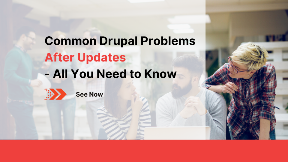 common-drupal-problems-after-updates-all-you-need-to-know-7