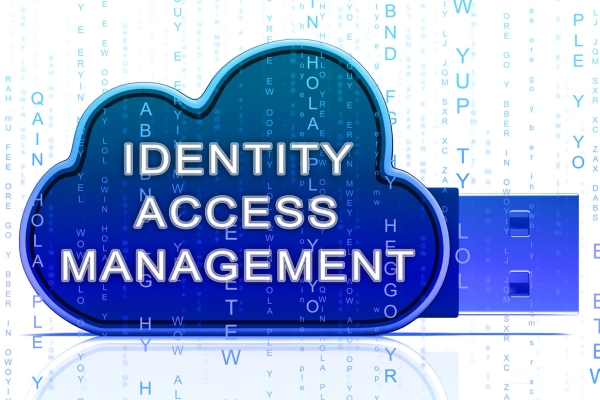 Identity-Access-Management.