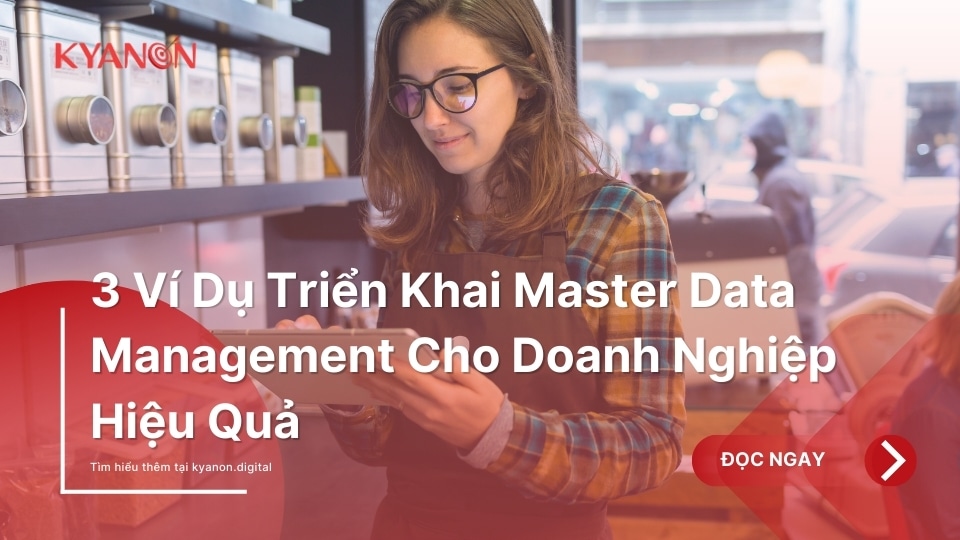 3-Vi-Du-Trien-Khai-Master-Data-Management-Cho-Doanh-Nghiep-Hieu-Qua