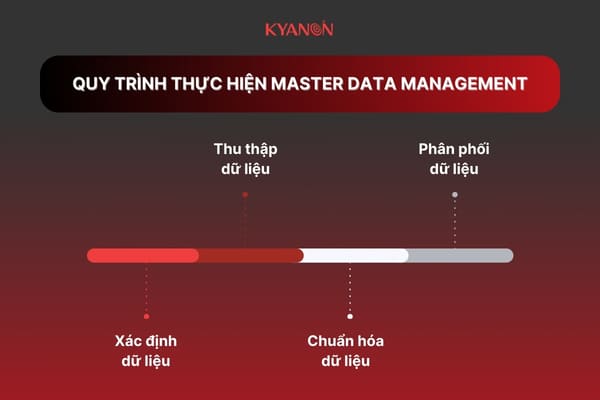 Quy trình thực hiện Master Data Management