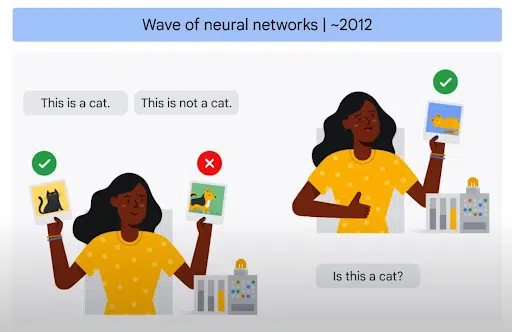 The-evolution-of-neural-networks
