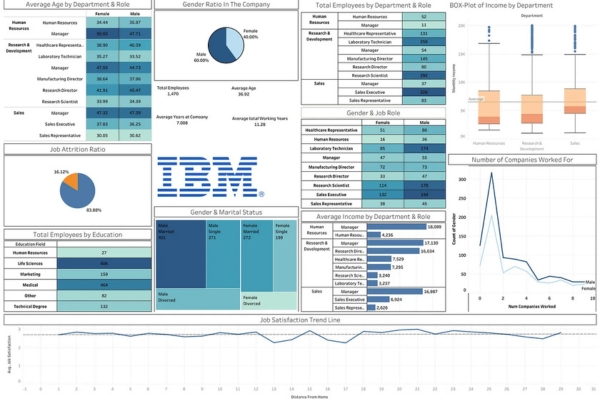 data-governance-example-of-ibm-kyanon-digital