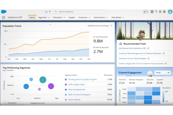 data-governance-example-of-salesforce-kyanon-digital-1