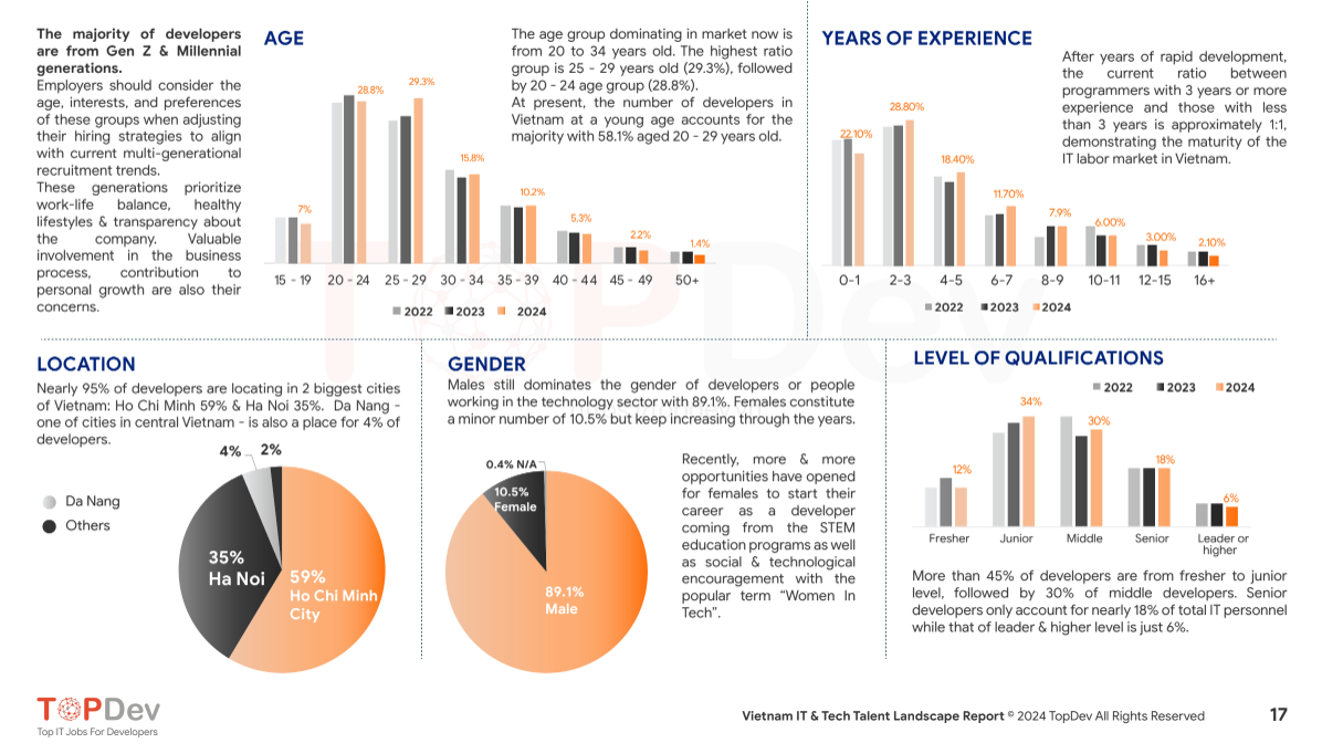 Vietnam tech talent persona