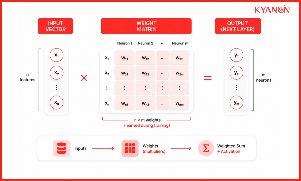 Neural network matrix multiplication diagram showing input vectors passing through weight matrices to generate output neurons.