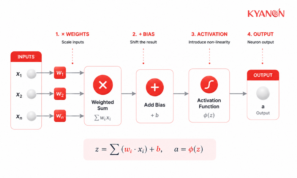 Flow diagram of inputs, weights, bias, activation, and output in a neuron